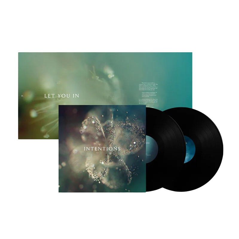 Anna - Intentions: Vinyl LP