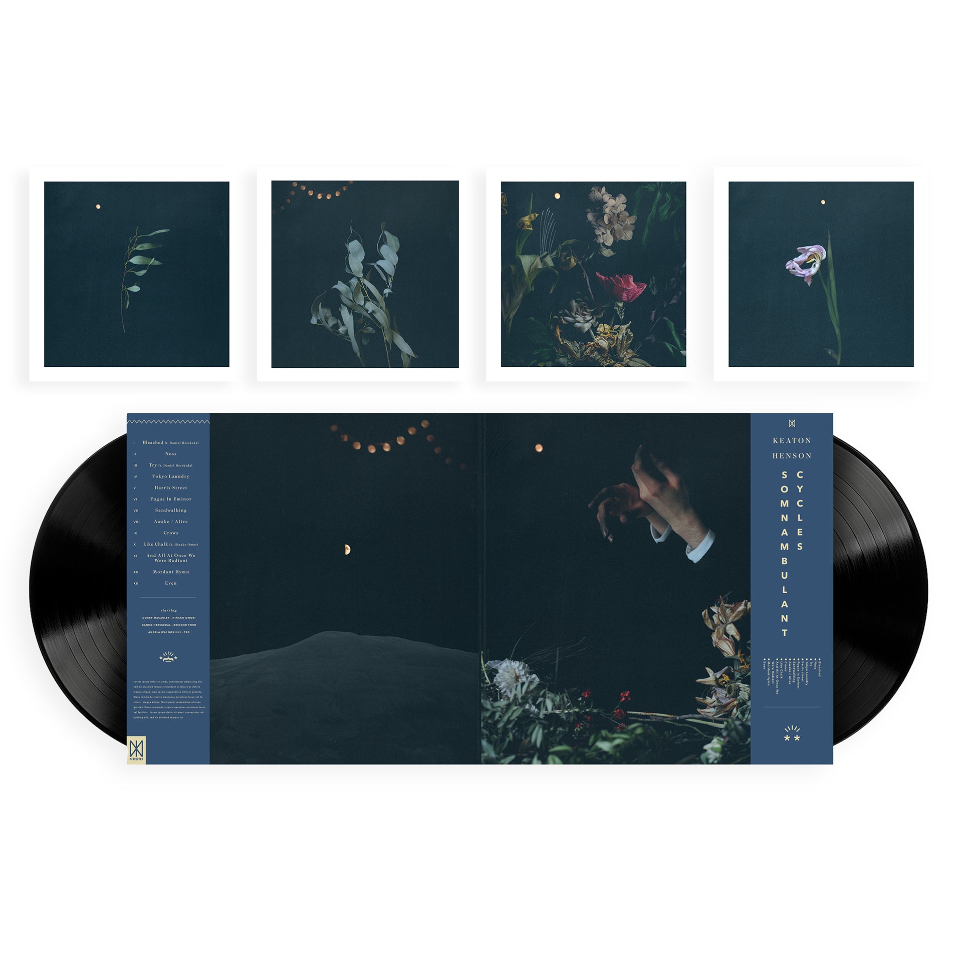 Keaton Henson - Somnambulant Cycles Vinyl LP + Signed Art Print